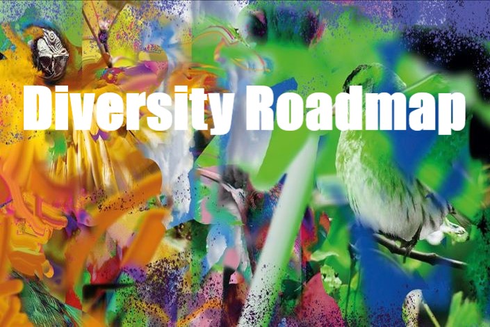 Diversity Roadmap